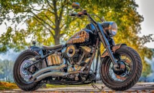 Read more about the article How to prevent motorcycle exhaust from rusting
