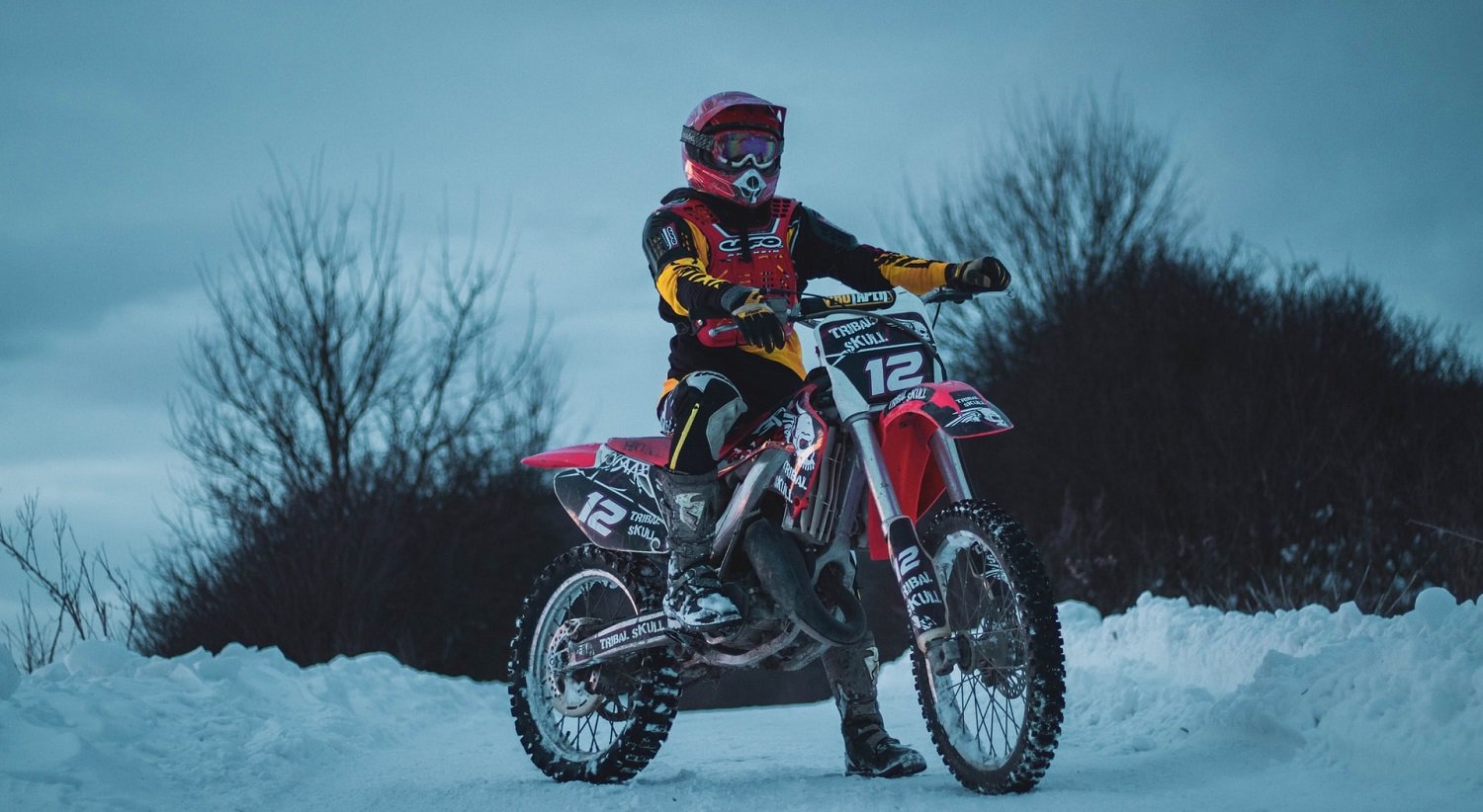 How to keep motorcycle battery charged during winters